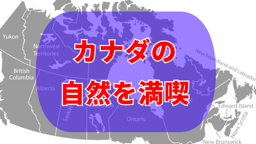 カナダでしかできないこと